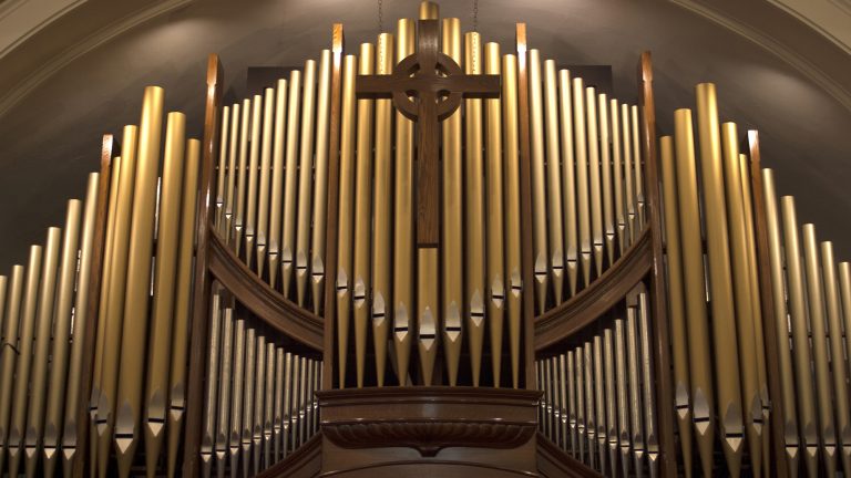 Organ-cropped2